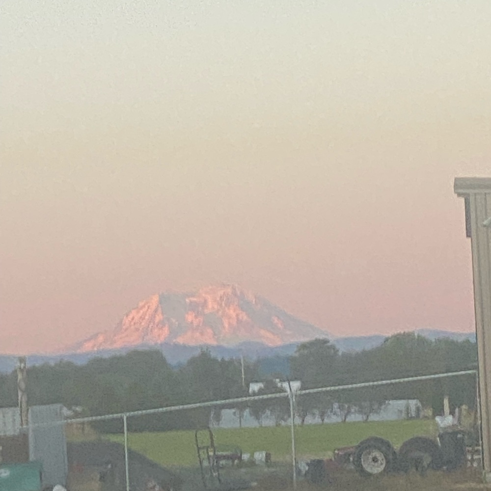 Meet your Posher, Emerson